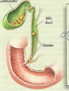 thiet-ke-co-doc-buoi-02