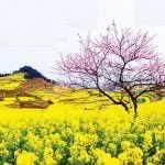 Ngày 14 – Đa-ni-ên 10:4–21 – Cuộc Chiến Thuộc Linh