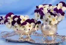Ngày 25 – I Cô-rinh-tô 7:1–11- Vợ Chồng Đừng Từ Chối Nhau