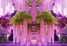 Ngày 15 – Sáng Thế Ký 13:1–13 – Chia Đất — Sự Chọn Lựa của Ông Lót