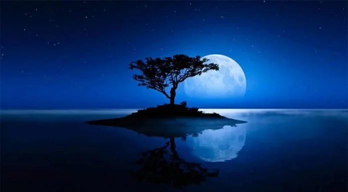 Hưởng ứng lời Thượng Đế
