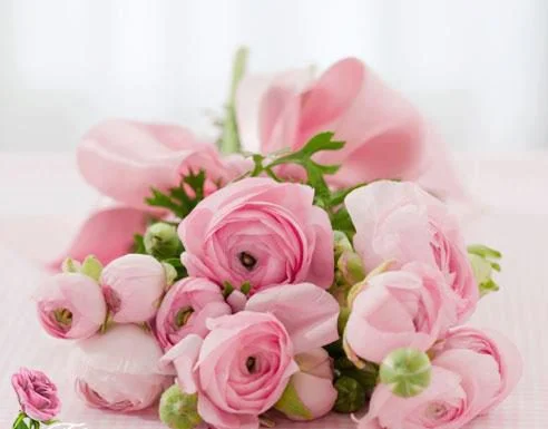 Nguồn Hy Vọng Đời Đời Của Tôi